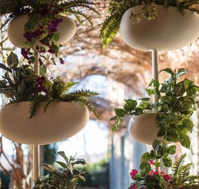 Serralunga Greenpills Planter
