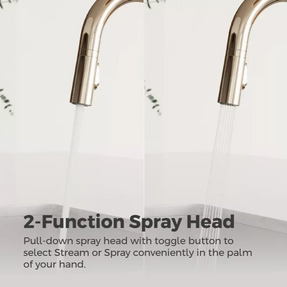 Pfister Faucets Tenet Kitchen Faucet Kitchen Taps