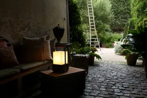 Tradewinds Moon Soon Outdoor Lanterns