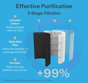Airoasis 94 Hepa Purifier