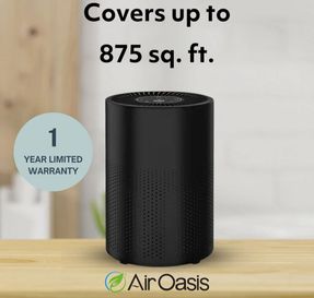 Airoasis 94 Hepa Purifier