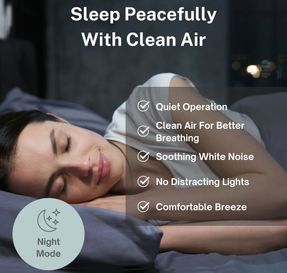 Airoasis 94 Hepa Purifier