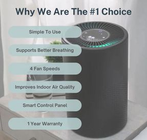 Airoasis 94 Hepa Purifier