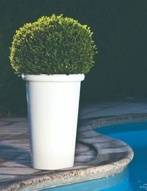 Serralunga Camelia High Planter