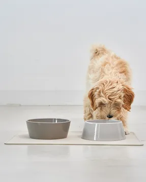 Miacara Tova Dog Placemat