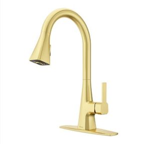 Pfister Faucets Frontera Kitchen Faucet