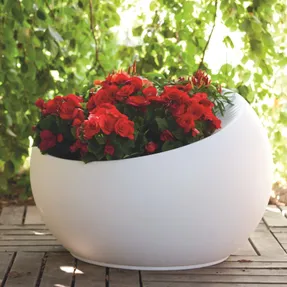 Serralunga Uovo Di Colombo Planter