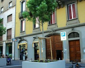 Laterlite Urban Landscaping, Urban Planting, Gardens Corpo