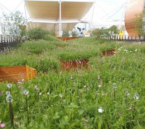 Laterlite Urban Landscaping, Urban Planting, Gardens Corpo