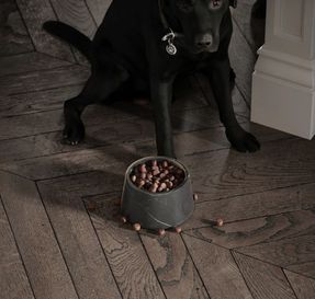 Lusso Vasoni Pietra Grey Marble Dog Bowl