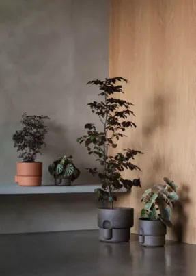 Northern Oasis Flowerpot Small