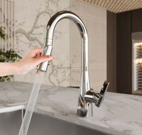 Pfister Faucets Exemplar Kitchen Faucet