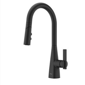 Pfister Faucets Exemplar Kitchen Faucet