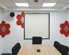 Knauf Optra Wall Panels