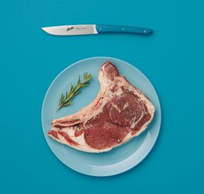Berkel Color Set Of 4 Steak Knives Cream