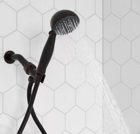 Pfister Faucets Pfister Multifunction Handheld Shower