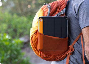 Biolite SolarPanel 10+