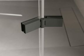 Disenia Smart Shower Enclosure With Hinged Door