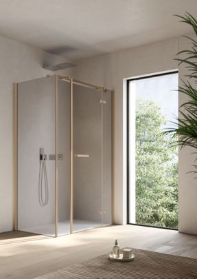 Disenia Smart Shower Enclosure With Hinged Door