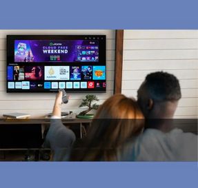 Zebronics Zeb 43W1 TV