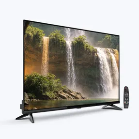Zebronics Zeb 43W1 TV
