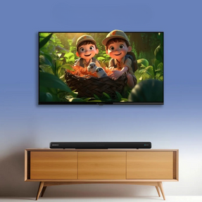 Zebronics Zeb 43W1 TV