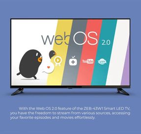 Zebronics Zeb 43W1 TV