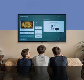 Zebronics Zeb 43W1 TV