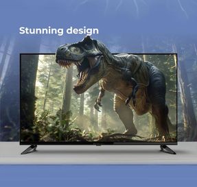 Zebronics Zeb 43W1 TV