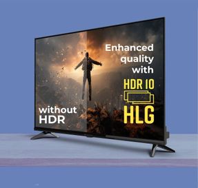 Zebronics Zeb 43W1 TV