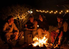 Biolite Solar String Lights: 44' White