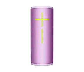 Ultimateears Boom 4 Speaker