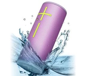 Ultimateears Boom 4 Speaker