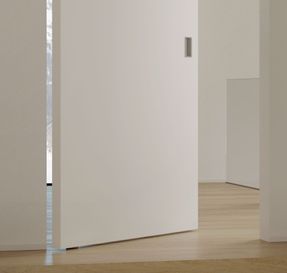 Viva VPivot Door Panel