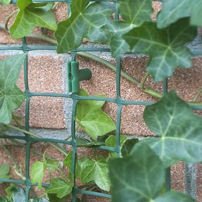 Tenax Corolla Fencing