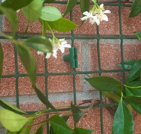 Tenax Corolla Fencing