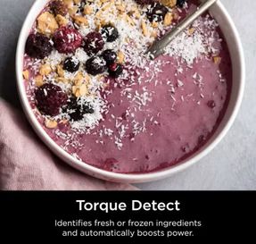 Ninja® Detect™ Duo® Power Blender Smoothie Maker with BlendSense™