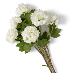 Eichholtz Bouquet Of Hydrangeas Snowball Real Touch 36 Pcs