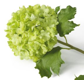 Eichholtz Bouquet Of Hydrangeas Snowball Real Touch 36 Pcs