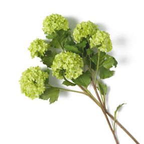 Eichholtz Bouquet Of Hydrangeas Snowball Real Touch 36 Pcs