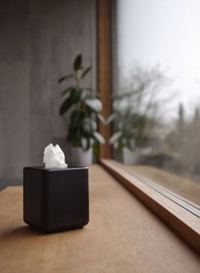 Zone Denmark Ume Tissue Box