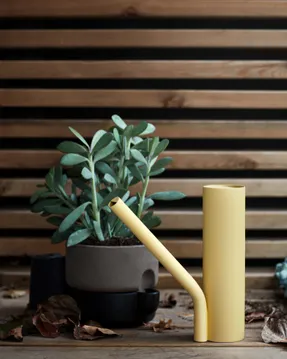Northern Grab Watering Can