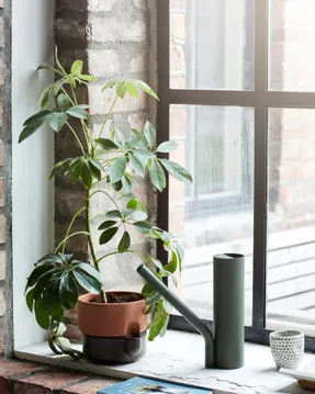 Northern Grab Watering Can