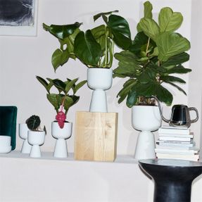Iittala Plant Pot White Stemmed M