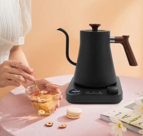 Wayfair Oukaning 1200w 0.24gal Tabletop Electric Gooseneck Tea Kettle