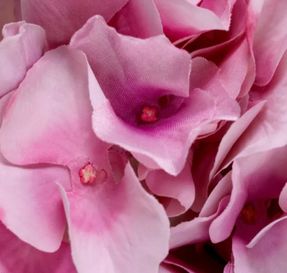 Eichholtz Bouquet Of Hydrangeas Real Touch 48 Pcs/2 Varietie Artifical Plant