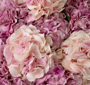 Eichholtz Bouquet Of Hydrangeas Real Touch 48 Pcs/2 Varietie Artifical Plant