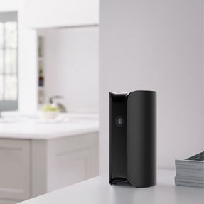 Canary Canary View Camera