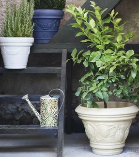 Serralunga Decorati Limoni Planter