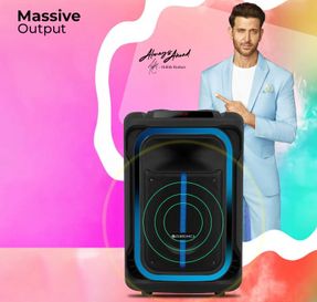 Zebronics Zeb Buddy 300 Wireless Speaker